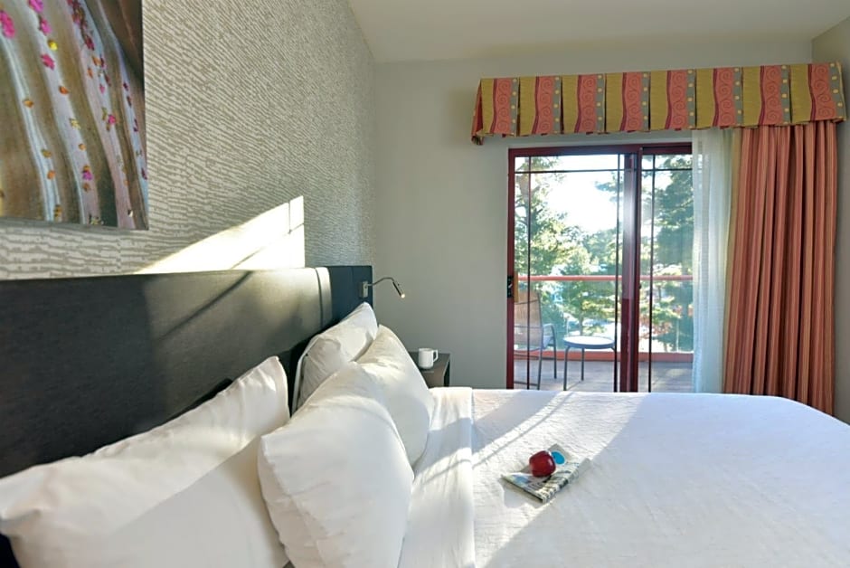 Hilton Garden Inn Wisconsin Dells