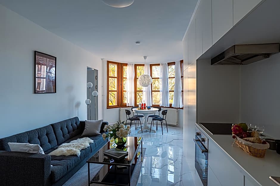 Deluxe Swan Stone Castle Apartment