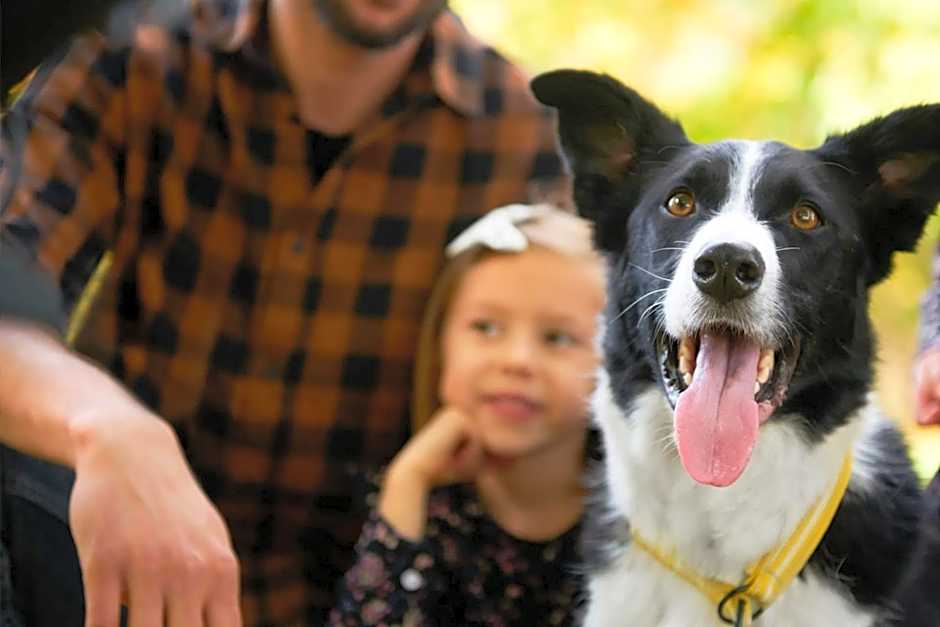 Residence Cernaia - Private Cottage