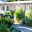 Calistoga Spa Hot Springs - Authentic Hot Springs Spa & Resort