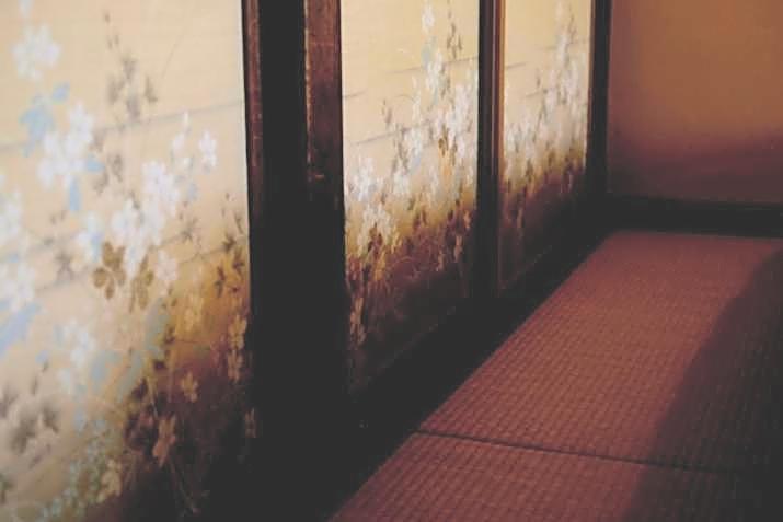 HA-MON Slope Side Hotel and Private Chalet