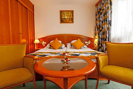 Standard Double Room with Thermal Bath Ticket