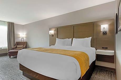 1 King Bed, Nonsmoking