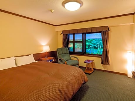 Double Room - Non-Smoking