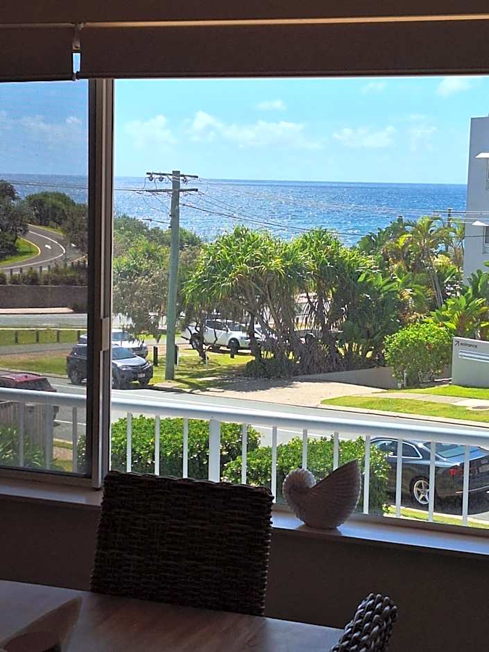 Pandanus Coolum Beach