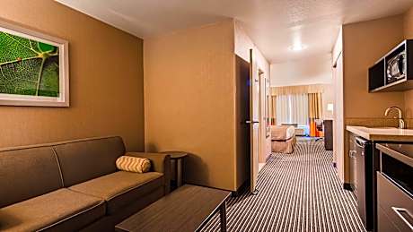 King Suite with Sofa Bed - Non-Smoking