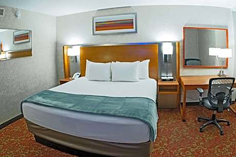 1 King Bed Nonsmoking Accessible