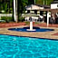 Apartamento Hotel Cavalinho Branco