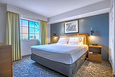 Suite-1 King Bed Non-Smoking Sofabed 2 Tvs Living Room Wet Bar Microwave Fridge Full Breakfast