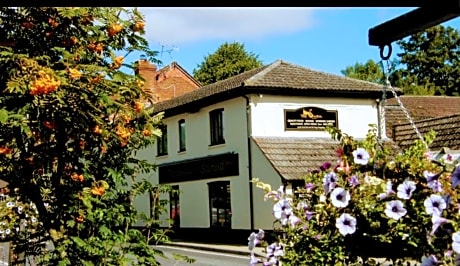 the swan stoford