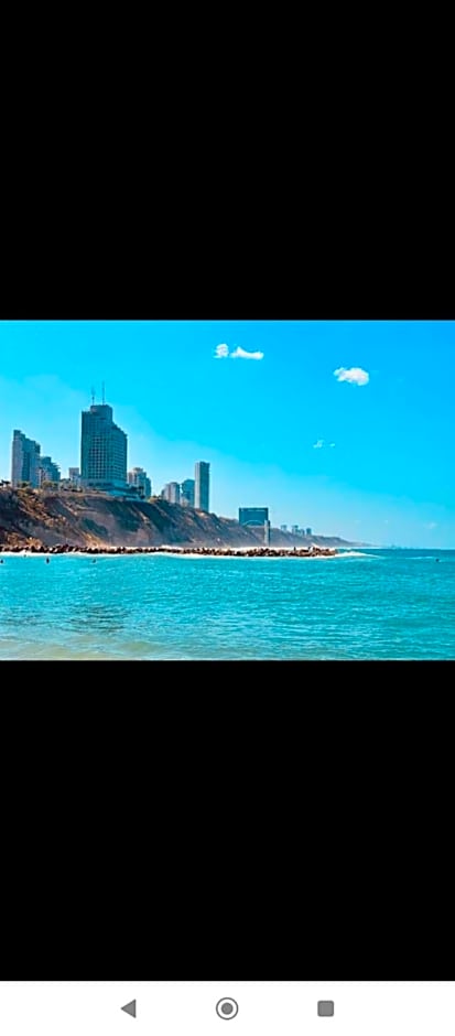 מלון כרמל/מגדל C