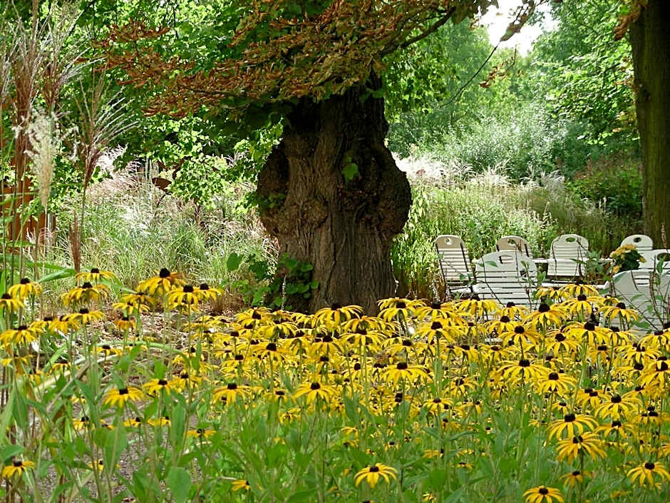 Bio Hotel Kipperquelle