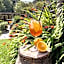Bickley Mill Inn