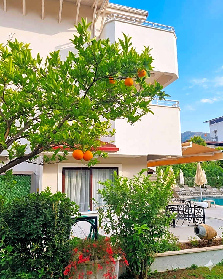 Ida Hotel