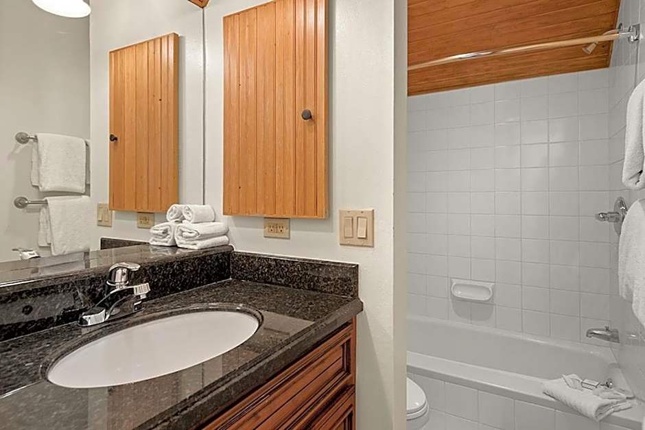 Independence Square Unit 313, Downtown Hotel Room in Aspen with Rooftop Hot Tub