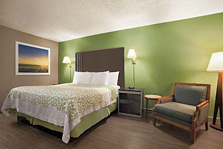 1 King Bed Non-Smoking
