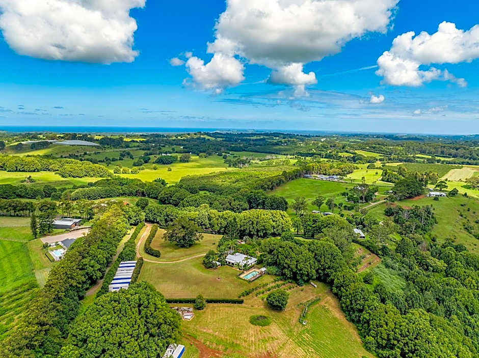 Cedia at Byron Bay Hinterland