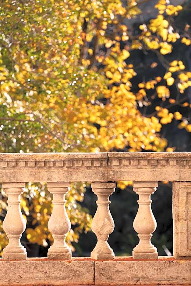 Château de Collias - Maison de Vacances