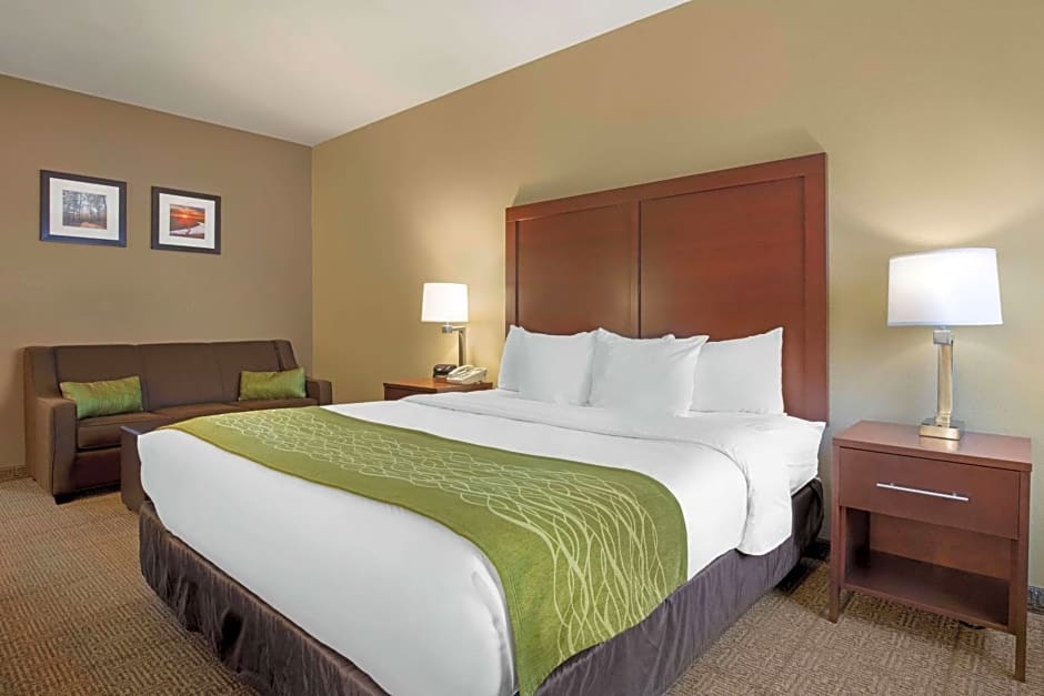 Comfort Inn Willow Springs