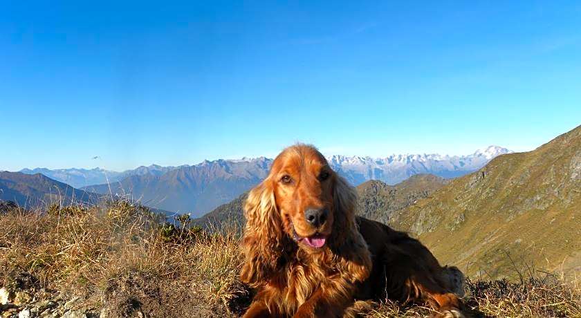 Bed and Breakfast Santa Brigida