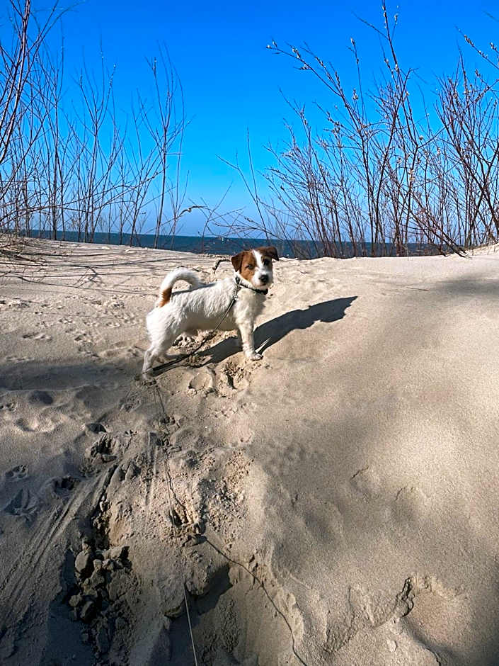 Hotel&Spa Stary Dziwnów basen swimming pool