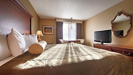 1 King Bed, Non-Smoking, High Speed Internet Access, Microwave And Refrigerator