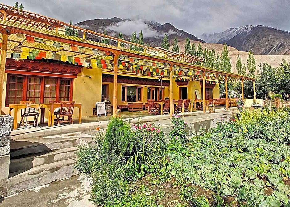 Nubra Ecolodge