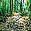 Oninosanpomichi