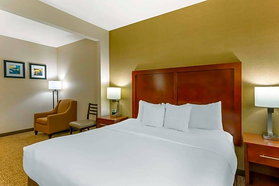 Comfort Inn & Suites Jerome