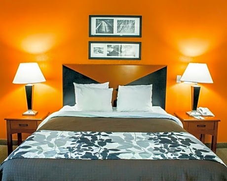 King Room -Hearing accessible (only)/Non-Smoking