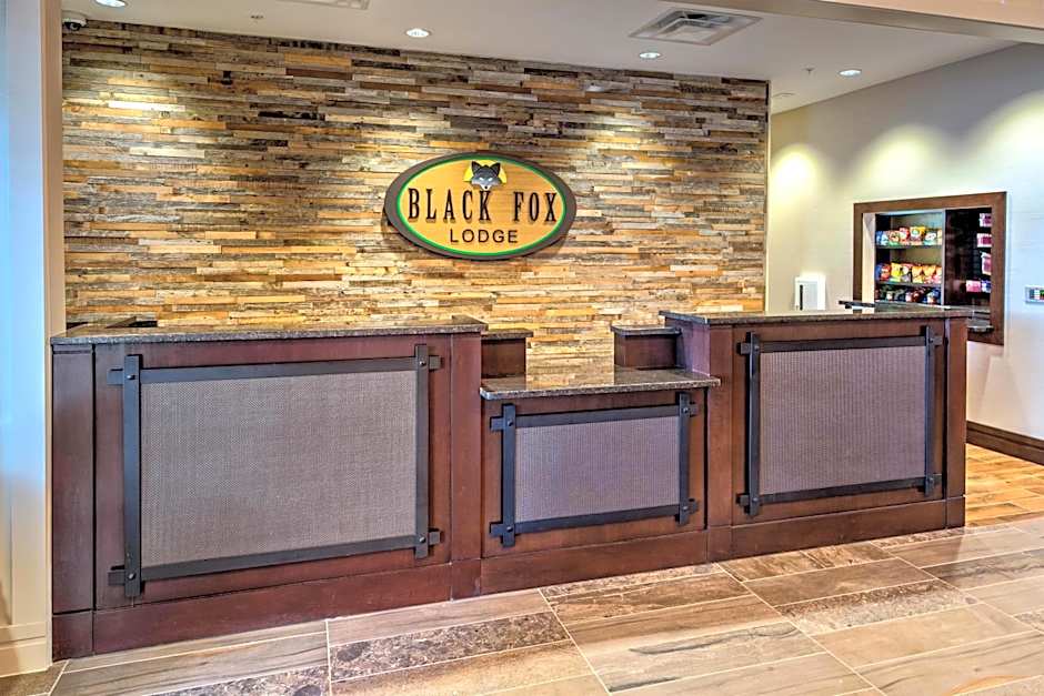 Black Fox Lodge Pigeon Forge, Tapestry Collection by Hilton