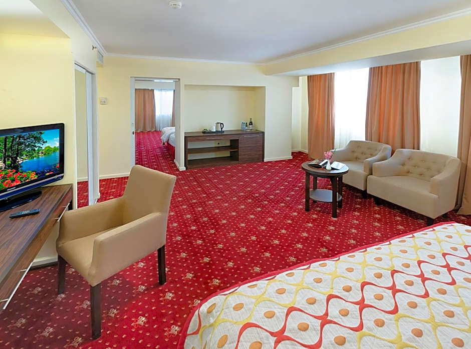 Ani Plaza Hotel
