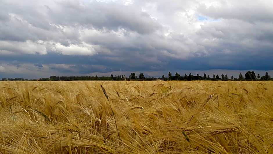 B&B De Hemelse Polder