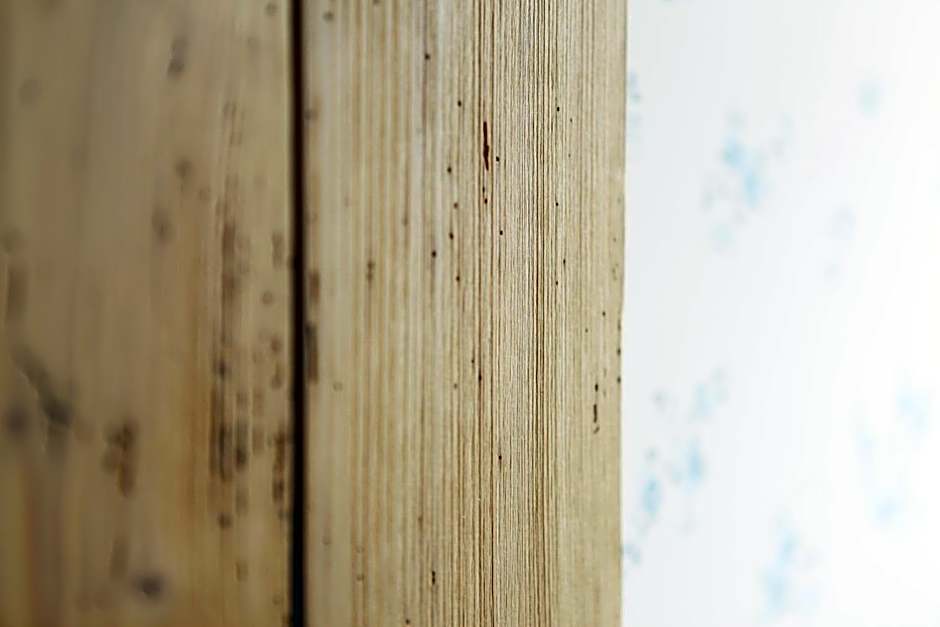 Logis Hôtel Ettenheim