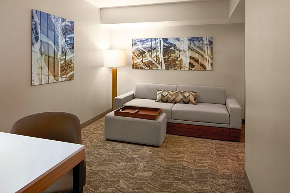 SpringHill Suites by Marriott Virginia Beach Oceanfront