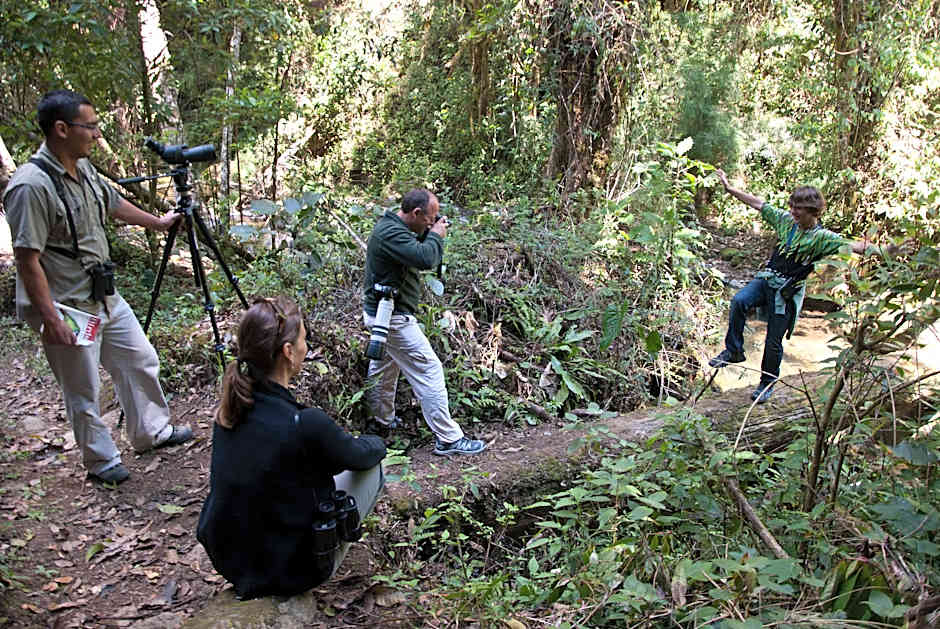 Dantica Cloud Forest Lodge