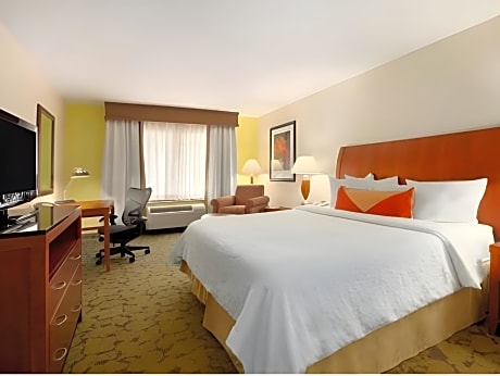 King Room with Sofa Bed