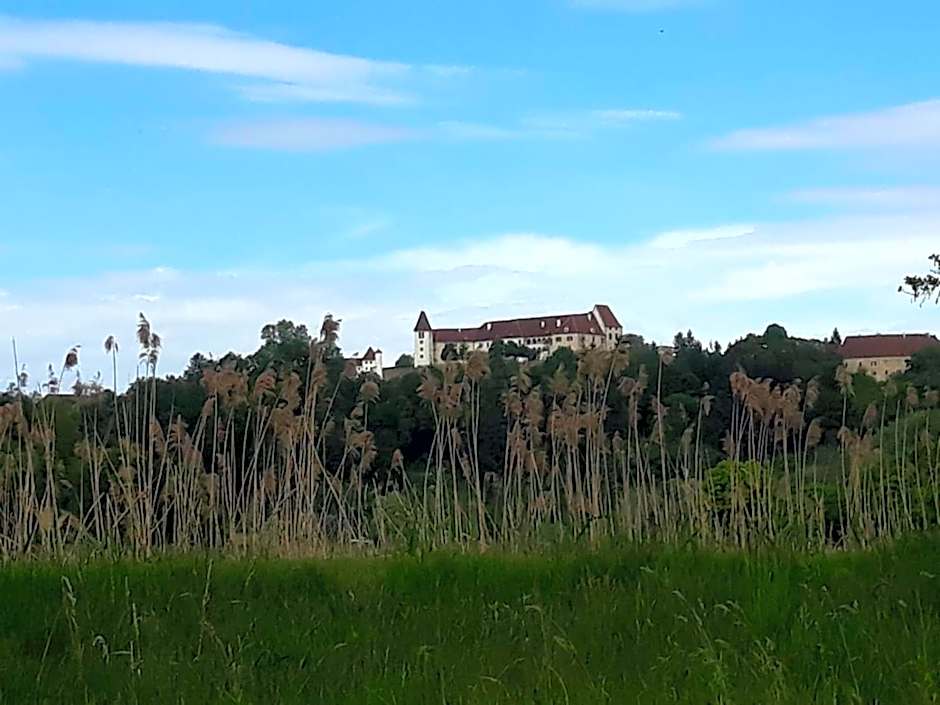 Koschak Wirt & Weinbauer