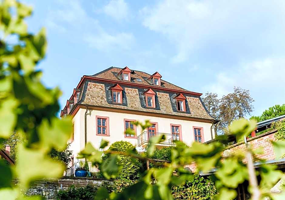 Hotel Kollektur