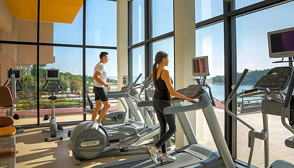 All Suite Island Hotel Istra