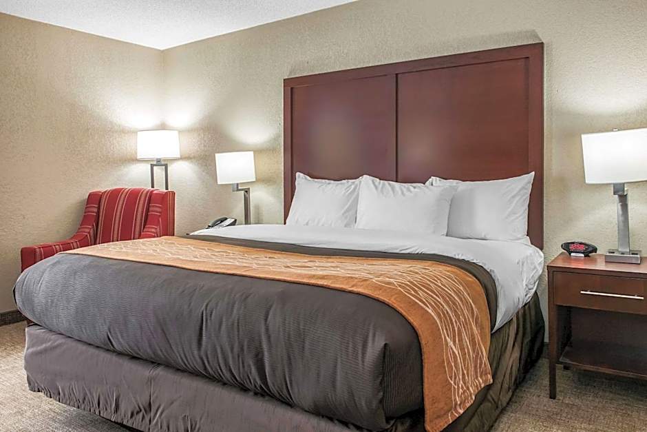 Comfort Inn Blue Ash North