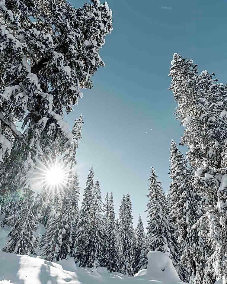Hotel Alpensonne - Panoramazimmer & Restaurant