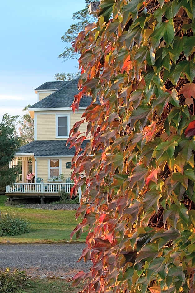 Bayview Pines Country Inn B&B