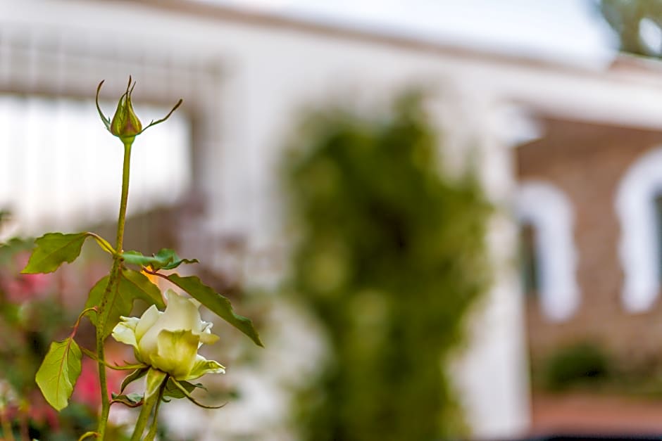 Balneario Aguas De Villaharta