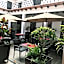 Hotel Casa las Mercedes