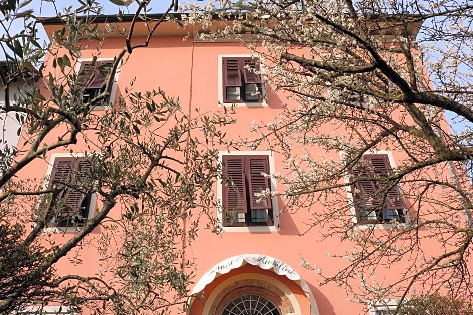 Angelini dal 1911
