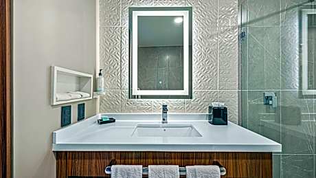 1 Queen Suite Nonsmoking