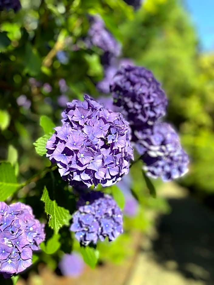 Kye Bay BnB - A Place to Breathe