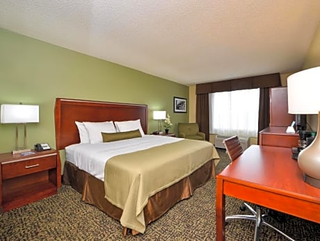 1 Bedroom King Suite