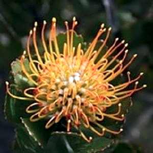 Erika27 Top B&B Choice